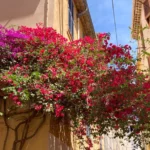 Antibes vieille ville